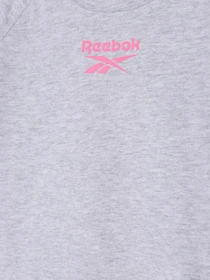 Костюми Reebok модель C4650RG_GRAY Фото