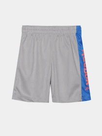 Костюмы Reebok модель C9035RB1_BLUE Фото