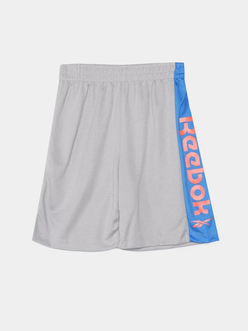Костюмы Reebok модель C9035RB4_BLUE/GREY Фото