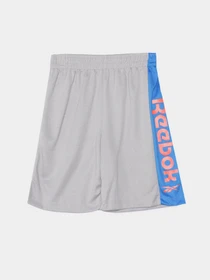 Костюмы Reebok модель C9035RB4_BLUE/GREY Фото