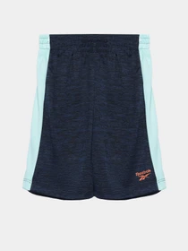 Костюми Reebok 2 PIECES BRAND LOGO модель C9036RB4AU_BLUE Фото