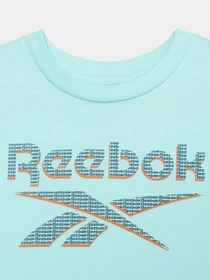 Костюми Reebok 2 PIECES BRAND LOGO модель C9036RB4AU_BLUE Фото