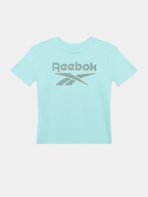 Костюмы Reebok 2 PIECES BRAND LOGO модель C9036RB4AU_BLUE Фото