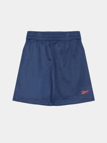 Костюми Reebok модель C9858RB_BLUE Фото