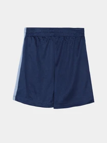 Костюми Reebok модель C9863RB_BLUE Фото