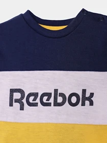 Костюмы Reebok 3 PIECES BRAND LOGO модель C9867RB_MULTICOLOR Фото