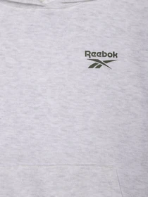 Костюми Reebok модель C9929RB_GREY Фото
