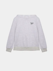 Костюми Reebok модель C9929RB_GREY Фото