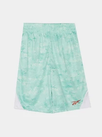 Костюми Reebok модель C9993RB4_white/green Фото