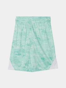 Костюми Reebok модель C9993RB4_white/green Фото