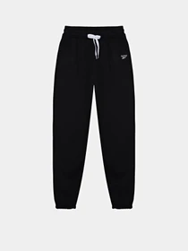 Штани Reebok модель E4533RG_GREY/BLACK Фото
