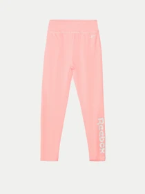 Брюки Reebok 2 PACK BRAND LOGO модель E4563RG_MULTICOLOR Фото