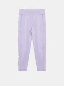 Штани Reebok 2 PACK BRAND LOGO TIGHT SET модель E4565RG_BLACK/PURPLE Фото