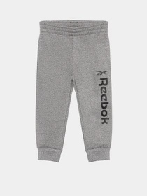 Брюки Reebok модель E9077RB2WN_GREY Фото