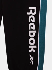 Штани Reebok SPORTSWEAR FIT TRAINING модель E9078RB4_BLACK Фото