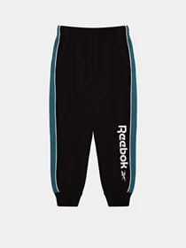 Брюки Reebok SPORTSWEAR FIT TRAINING модель E9078RB4_BLACK Фото