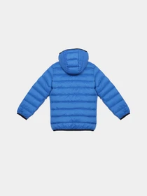 Куртки и дубленки Reebok модель OCRB1063TK_BLUE Фото