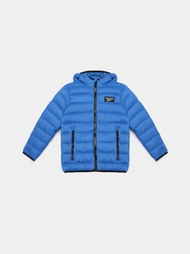 Куртки и дубленки Reebok модель OCRB1063TK_BLUE Фото