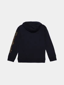 Худі та світшоти Reebok модель Q89476RBI_NAVY BLUE Фото