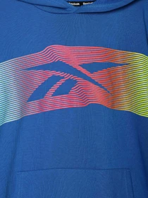 Худи и свитшоты Reebok модель Q9192RB8_BLUE Фото