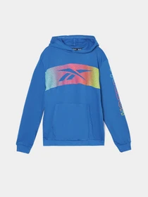 Худи и свитшоты Reebok модель Q9192RB8_BLUE Фото