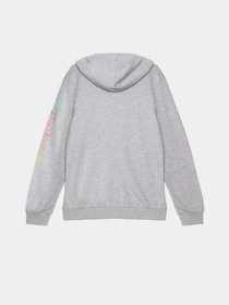 Худі та світшоти Reebok модель Q9192RB8AU_GREY Фото