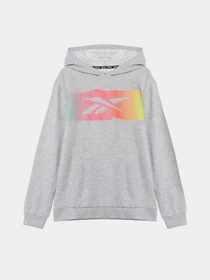 Худі та світшоти Reebok модель Q9192RB8AU_GREY Фото