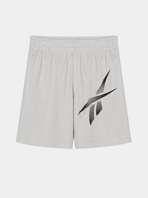 Шорти Reebok модель S9938RB_GRAY Фото