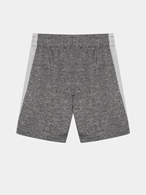 Шорти Reebok модель S9938RB_GRAY Фото