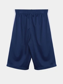 Шорти Reebok модель S9939RB4_BLUE Фото