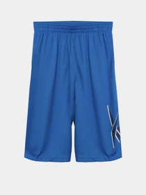 Шорти Reebok модель S9939RB8_BLUE Фото