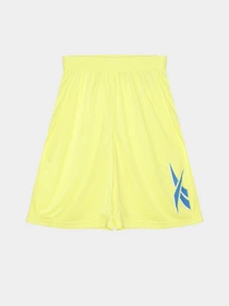 Шорты Reebok модель S9939RB8_MULTICOLOR Фото