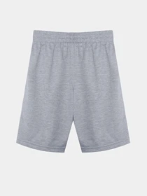 Шорти Reebok модель S9979RB4_GRAY/BLACK Фото