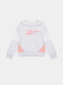 Костюми Reebok модель B4326RG2_GRAY Фото