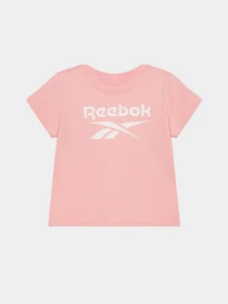 Костюмы Reebok модель B4326RG2_GRAY Фото