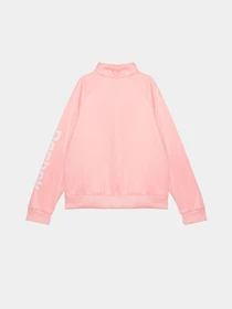 Костюмы Reebok модель B4637RG_PINK/DREY Фото