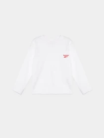 Костюмы Reebok модель B9099RB1_MULTICOLOR Фото