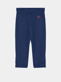 Костюми Reebok модель B9100RB1_MULTICOLOR Фото