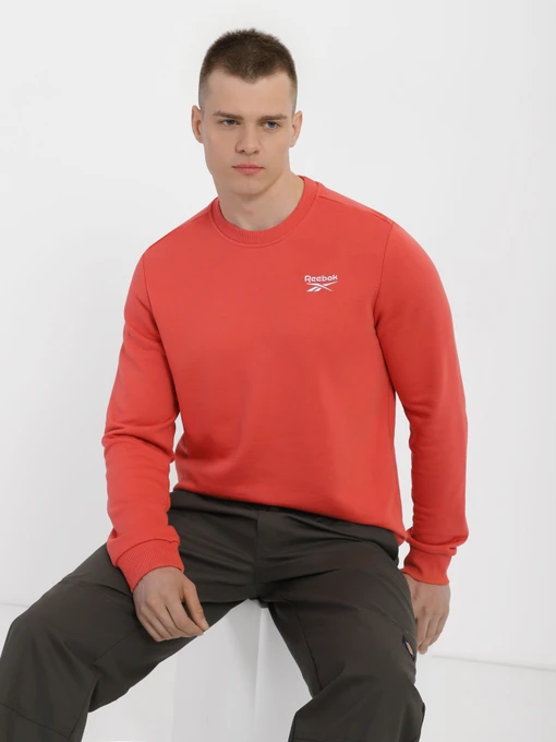 Худи и свитшоты Reebok Identity модель H54483 Фото