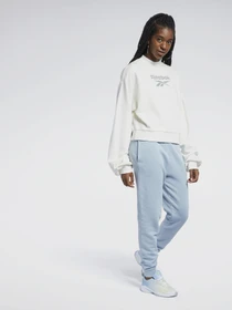 Брюки Reebok CLASSICS NATURAL DYE модель GP7887 Фото