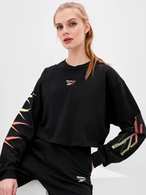 Футболки і поло Reebok Classics Long Sleeve модель GP1149 Фото