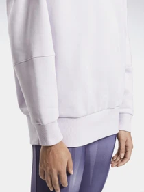 Худі та світшоти Reebok RETRO OVERSIZE модель GM9075 Фото