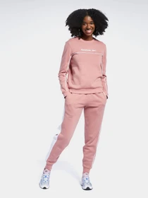 Худі та світшоти Reebok CLASSICS FOUNDATION LINEAR CREW модель GJ4916 Фото