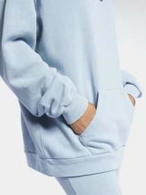 Худі та світшоти Reebok CLASSICS NATURAL DYE модель GN4925 Фото