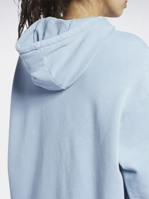 Худі та світшоти Reebok CLASSICS NATURAL DYE модель GN4925 Фото