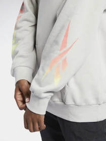 Худі та світшоти Reebok Classics Graphic Festival модель GP1270 Фото