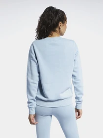 Худі та світшоти Reebok CLASSICS NATURAL DYE CREW модель GP7891 Фото