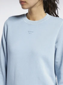 Худі та світшоти Reebok CLASSICS NATURAL DYE CREW модель GP7891 Фото