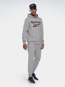Брюки Reebok IDENTITY BIG LOGO модель GI9413 Фото