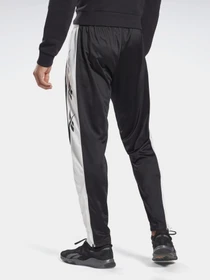 Брюки Reebok TE VECTOR модель GL3153 Фото
